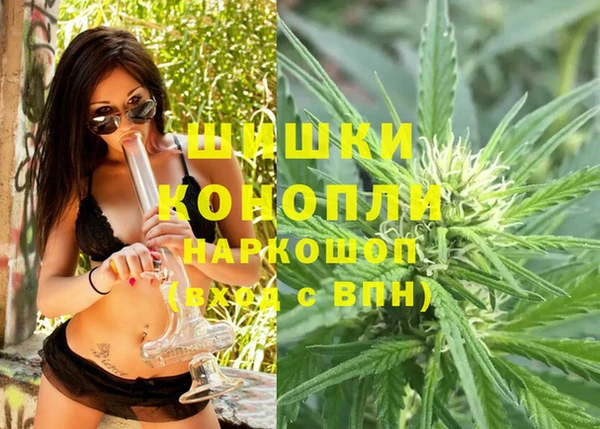 тгк Вяземский