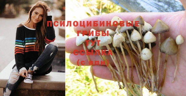 амф Волосово
