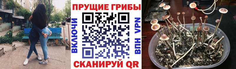 Галлюциногенные грибы GOLDEN TEACHER  Купить закладки  Киреевск 